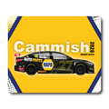 Dan Cammish - NAPA Racing - Ford Focus Titanium - BRANDS - 2026 - Coaster